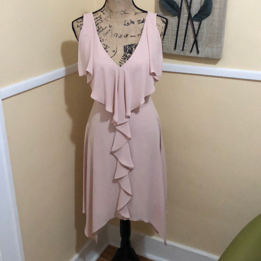 BCBG size 6